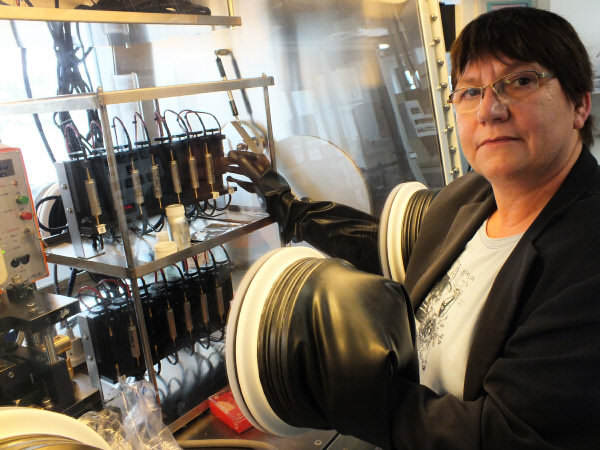 Dr Margret Wohlfahrt-Mehrens rukovodi proekta za novite baterii