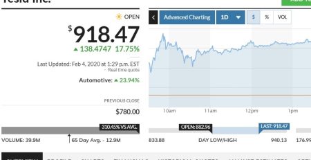 tesla-stock-price-february-2020